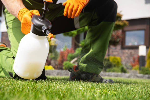 Best Residential Pest Control  in Smoke Rise, AL