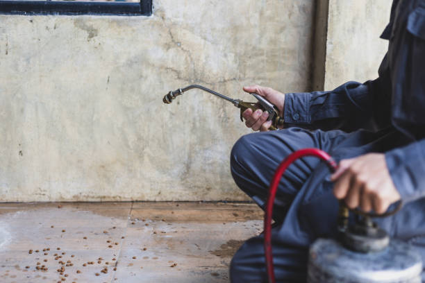 Best Pest Control Near Me  in Smoke Rise, AL
