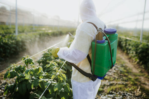 Pest Control for Restaurants in Smoke Rise, AL
